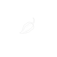 Ghost Pepper Digital